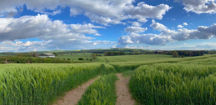 The Geotechnical and geoenvironmental process in Yorkshire.